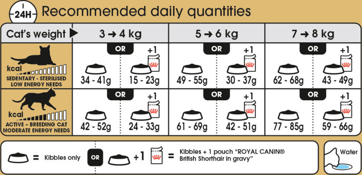 British Shorthair Adult - ROYAL CANIN® Professionals