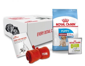 Breeders and Exhibitors - ROYAL CANIN® Professionals