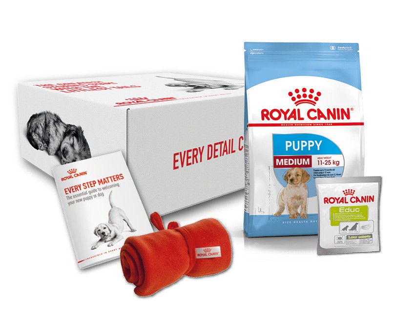 Royal shop canin club