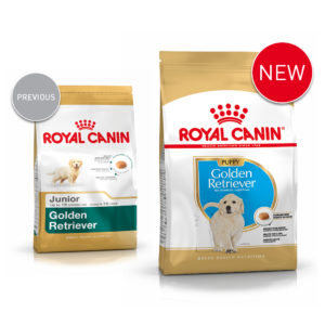 Golden Retriever Puppy - ROYAL CANIN® Professionals