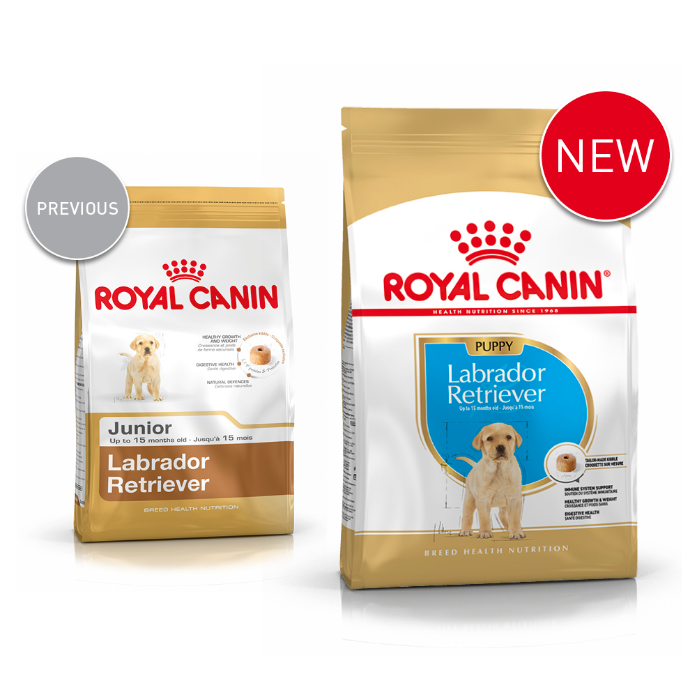 Labrador Retriever Puppy - ROYAL CANIN® Professionals