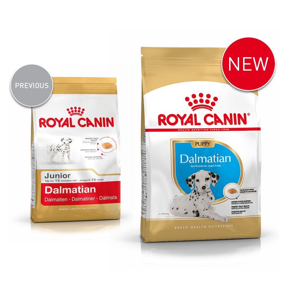 dalmatian feeding guide