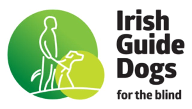 Irish guide 2024 dogs rehoming