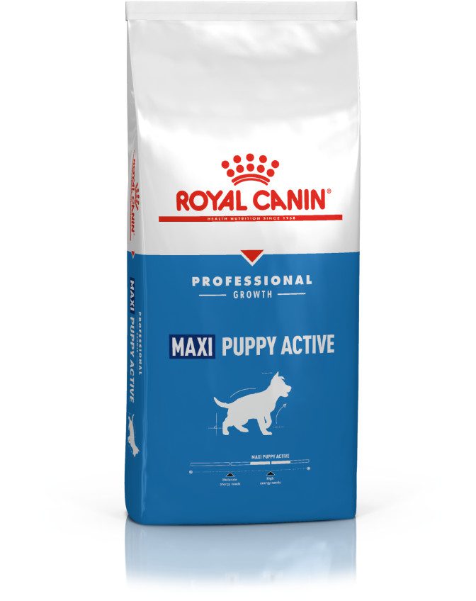 Maxi Puppy Active - ROYAL CANIN® Professionals