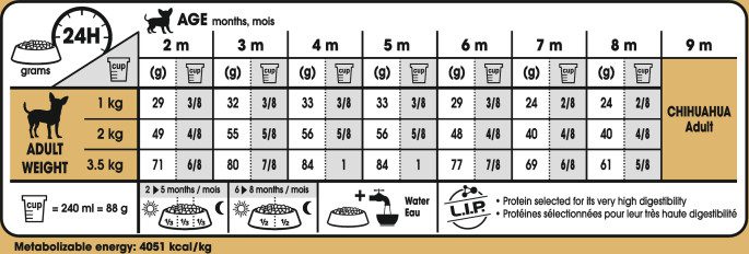 chihuahua puppy food guide