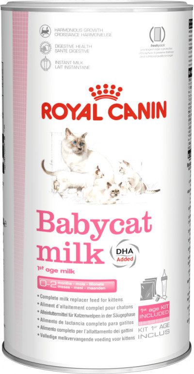 royal canin kitten milk powder