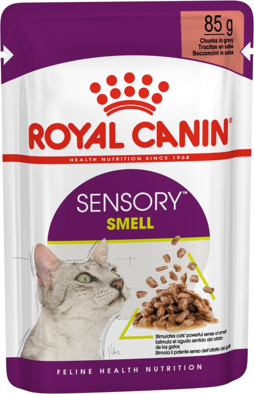 royal canin for pregnant cat