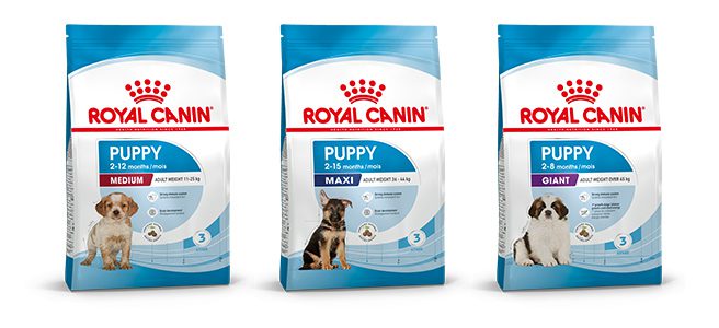 Royal canin hotsell professional puppy