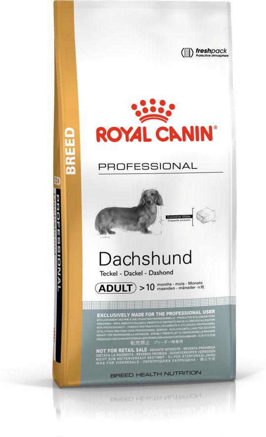 Royal canin dachshund outlet dry food