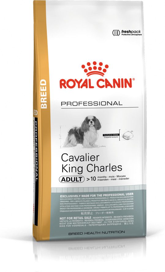 Cavalier royal hot sale canin