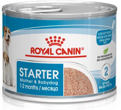 Royal canin junior outlet mousse