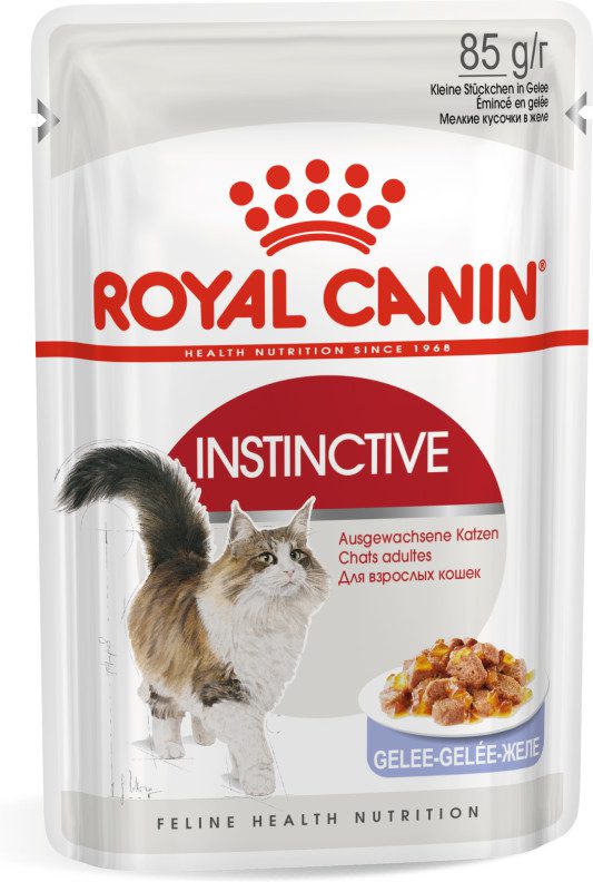 Royal canin outlet feline rabbit