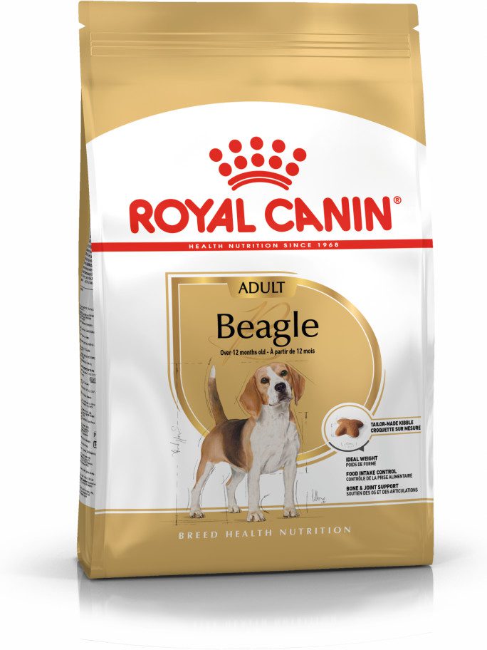 What to feed hot sale a beagle puppy