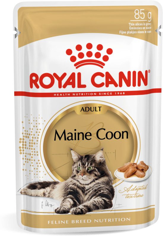 Royal canin maine coon cat clearance food