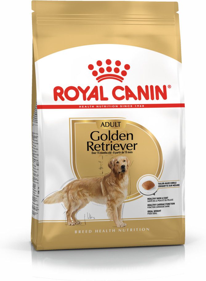 Adult deals golden retriever