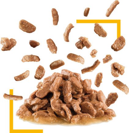 Image of pet food kibble