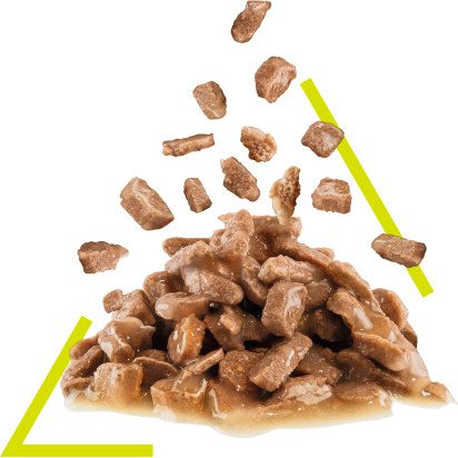 Image of pet food kibble